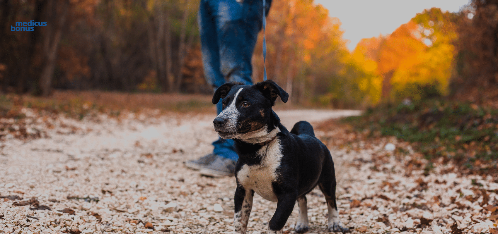 ostrzyknięcie kręgosłupa Poznań